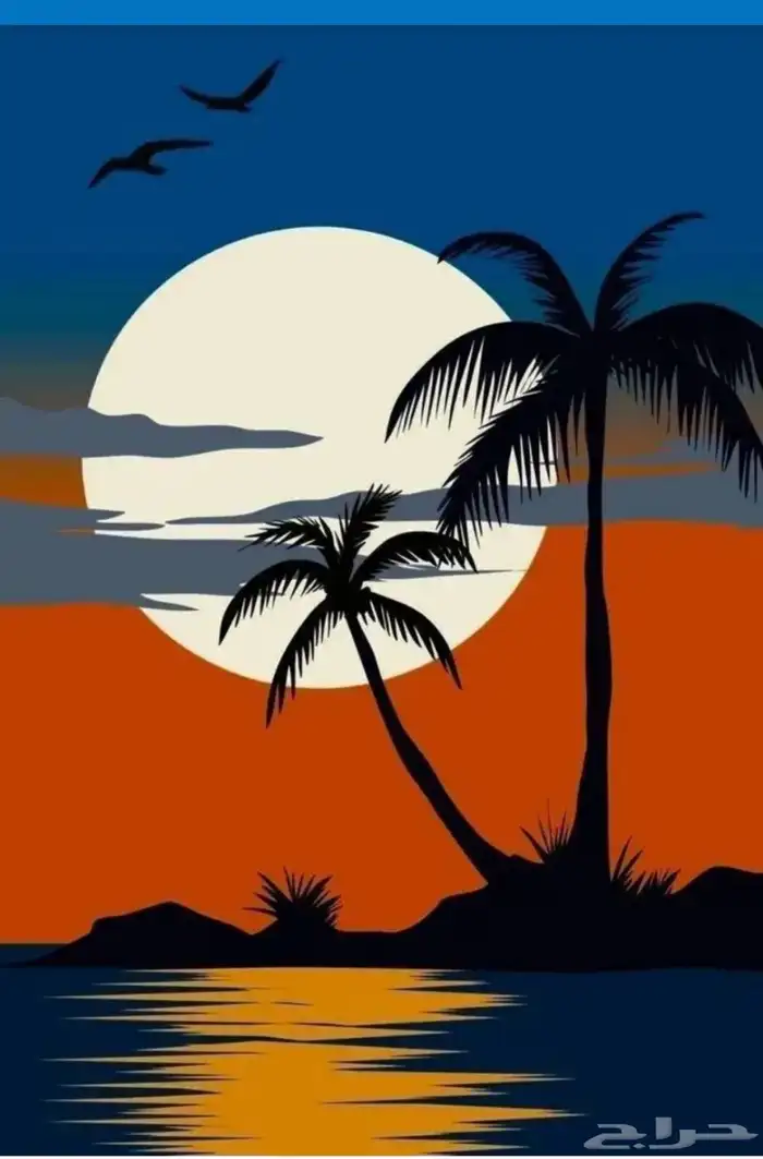 خطاط ورسام القصيم رسم اليد كل خطوط 7