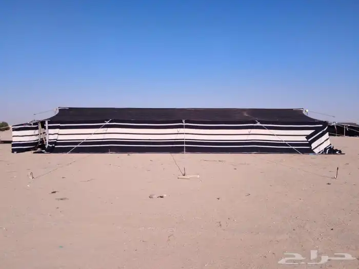 موقعنا حفر الباطن ( بيوت شعر وخيام) 6