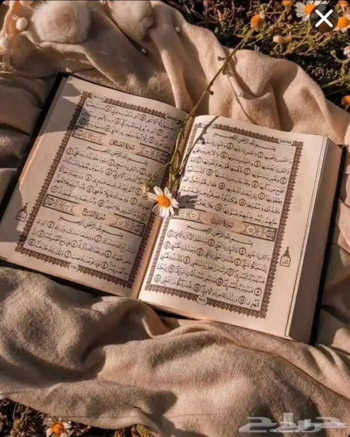 محفظه قران كريم اونلاين مجود للأطفال حفظ تام داخل الحلقه دون 0