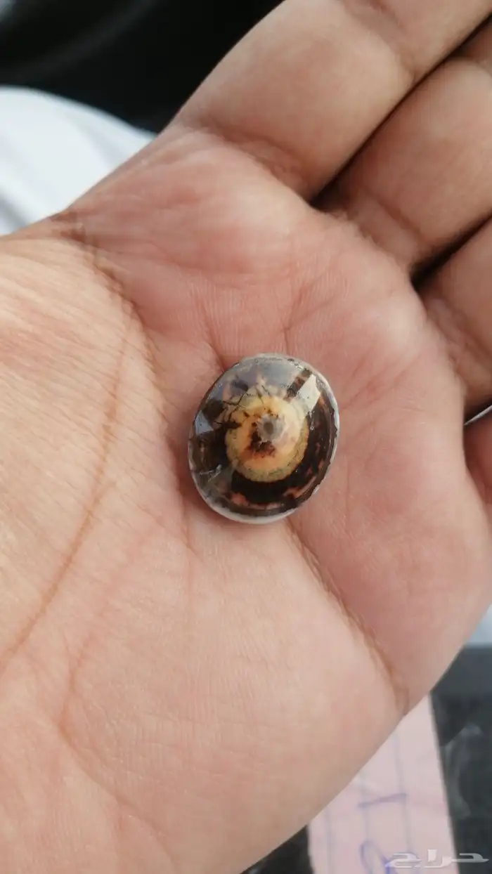 حجر عقيق سليماني هندي نوادر 5