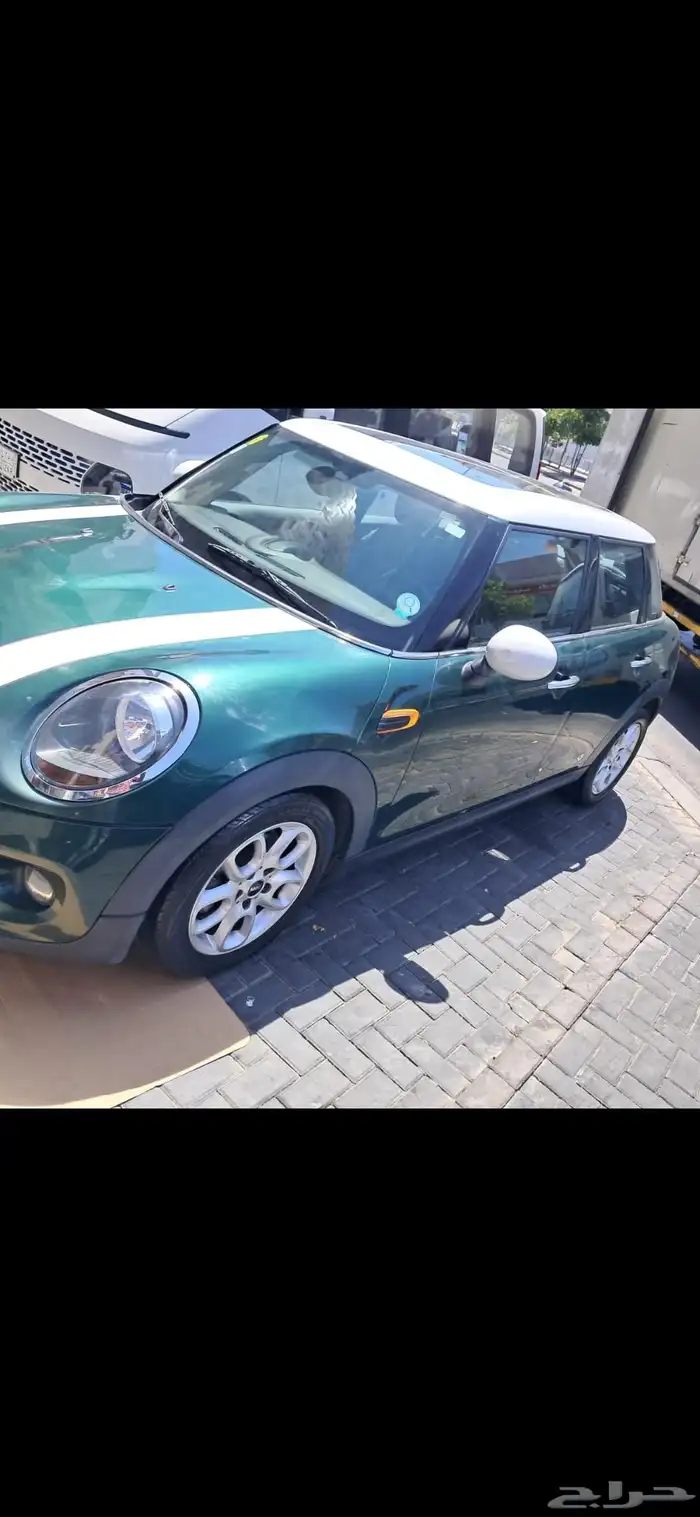 مني كوبر 2019 4