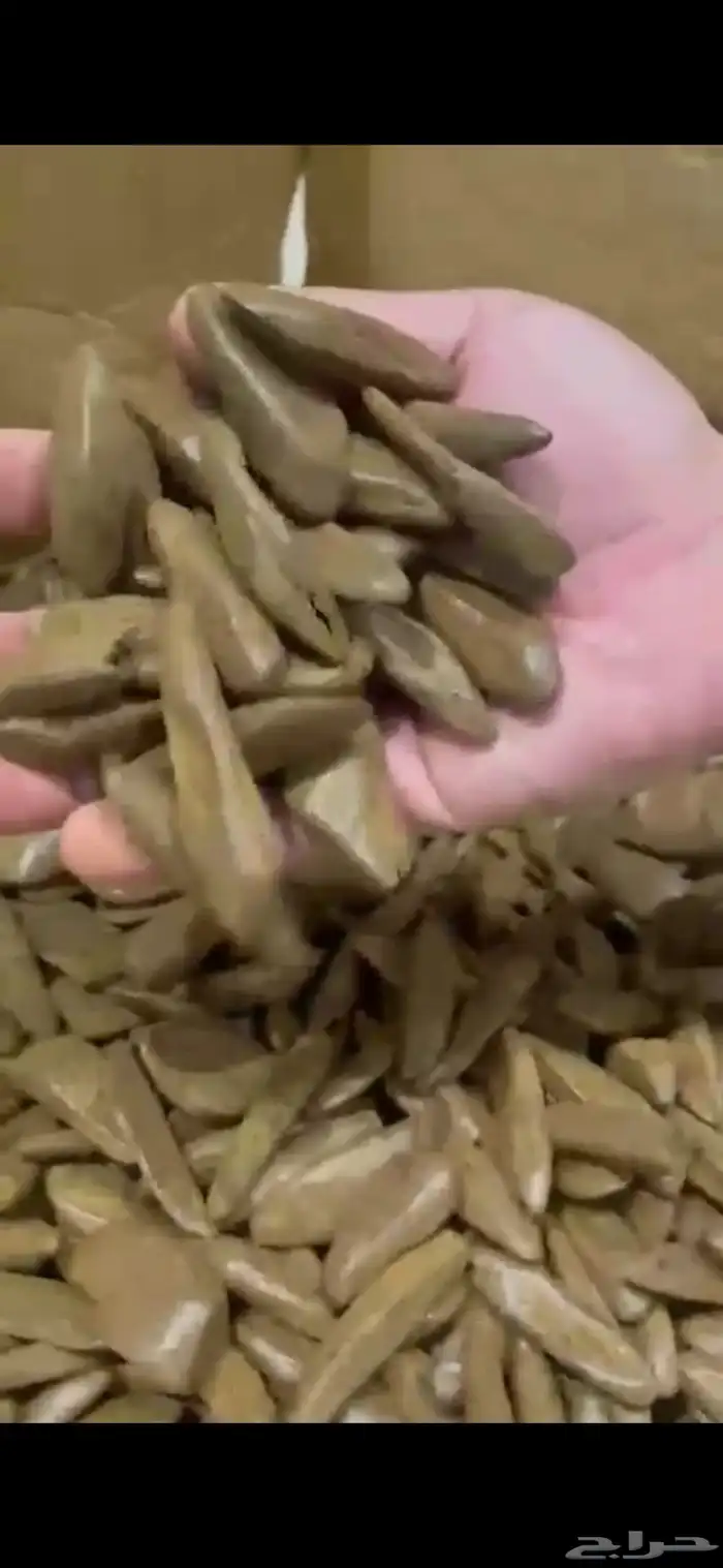 عود موروكي محسن فاخر روعة 1