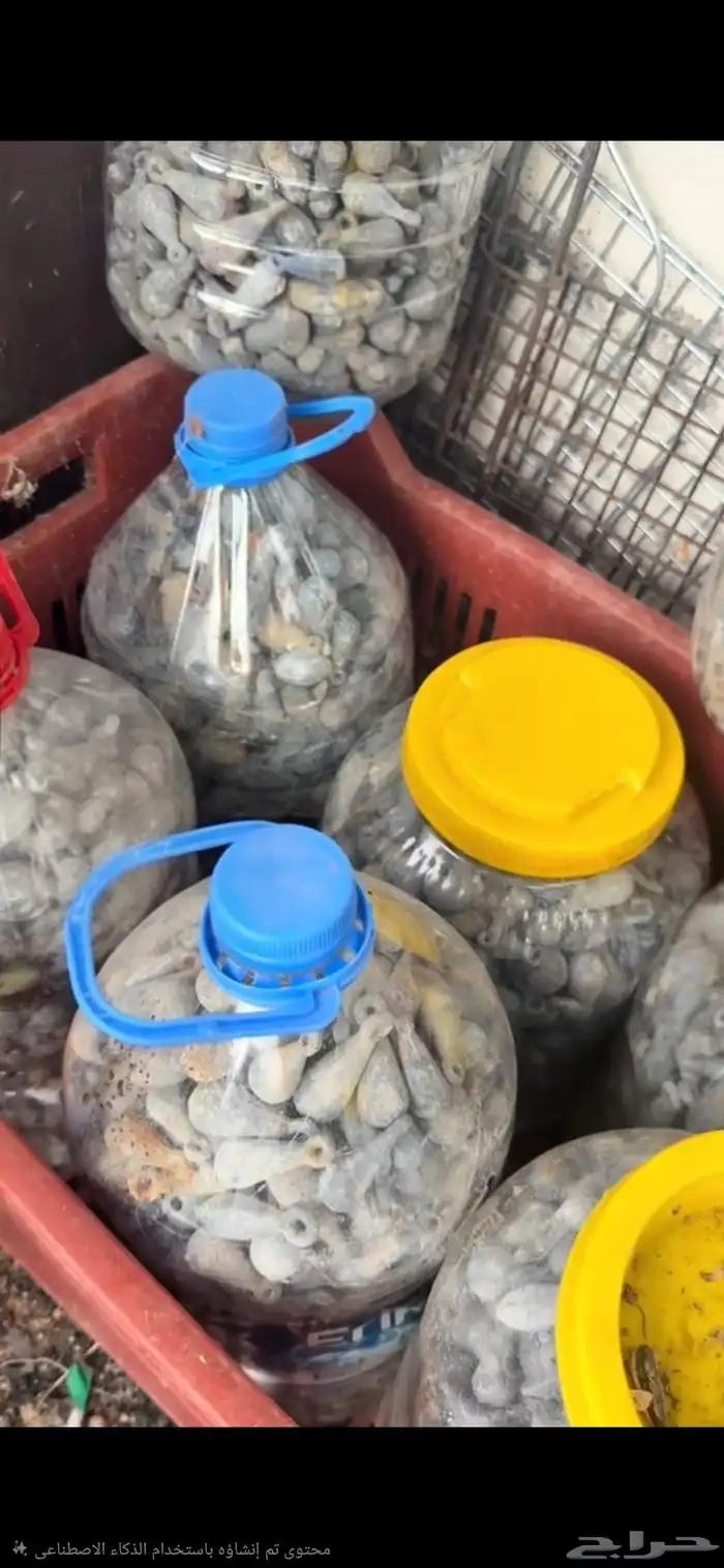 اشتري ثقالة سكراب او رصاص سكراب 0