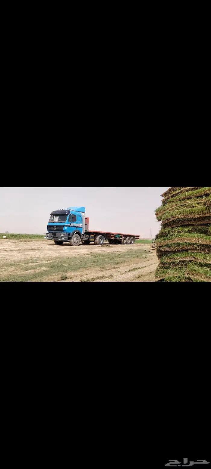 تريلة سطحة في حائل للمشاوير وتوصيل ونقل البضائع 0