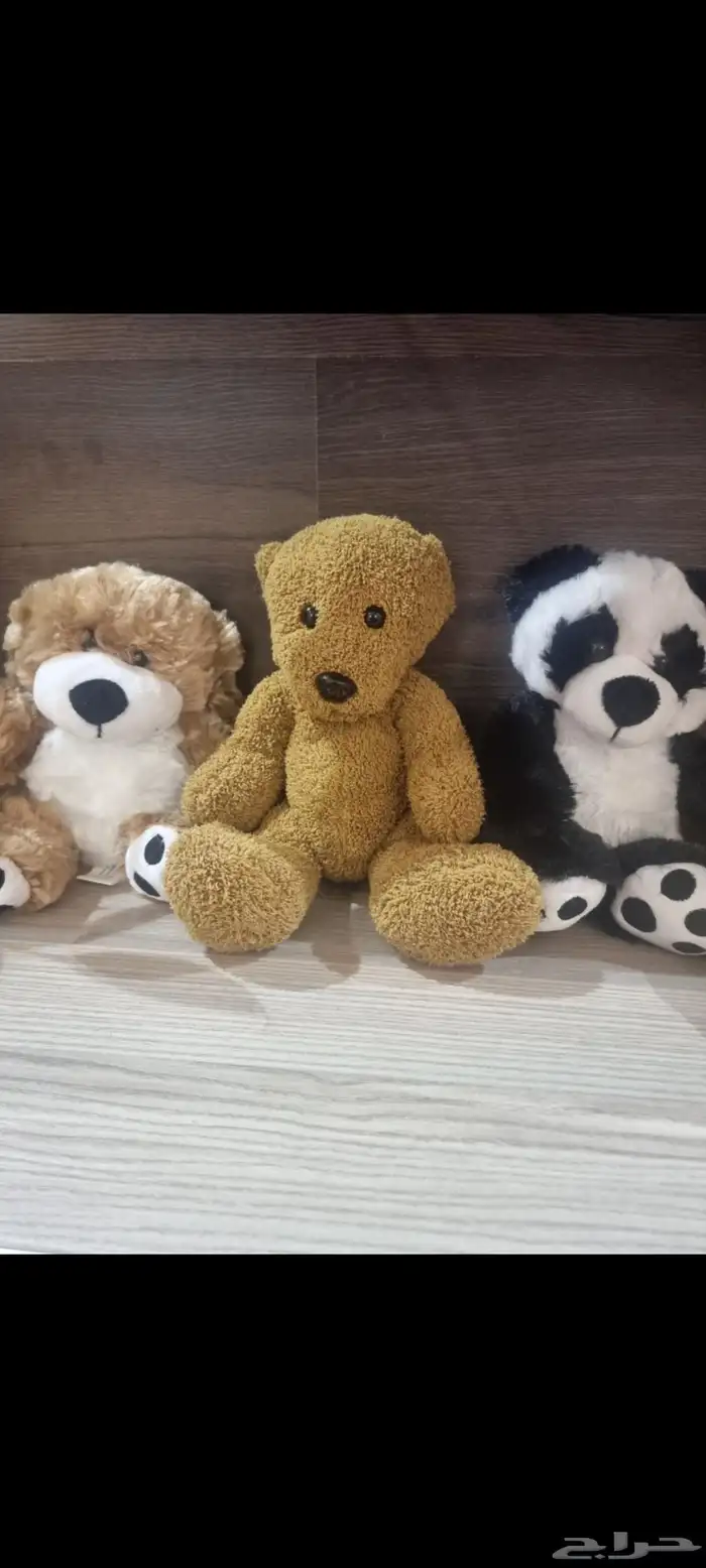 للبيع جملة دببه متوفر 500 حبه خامه نظيفه وحجم وسط 2