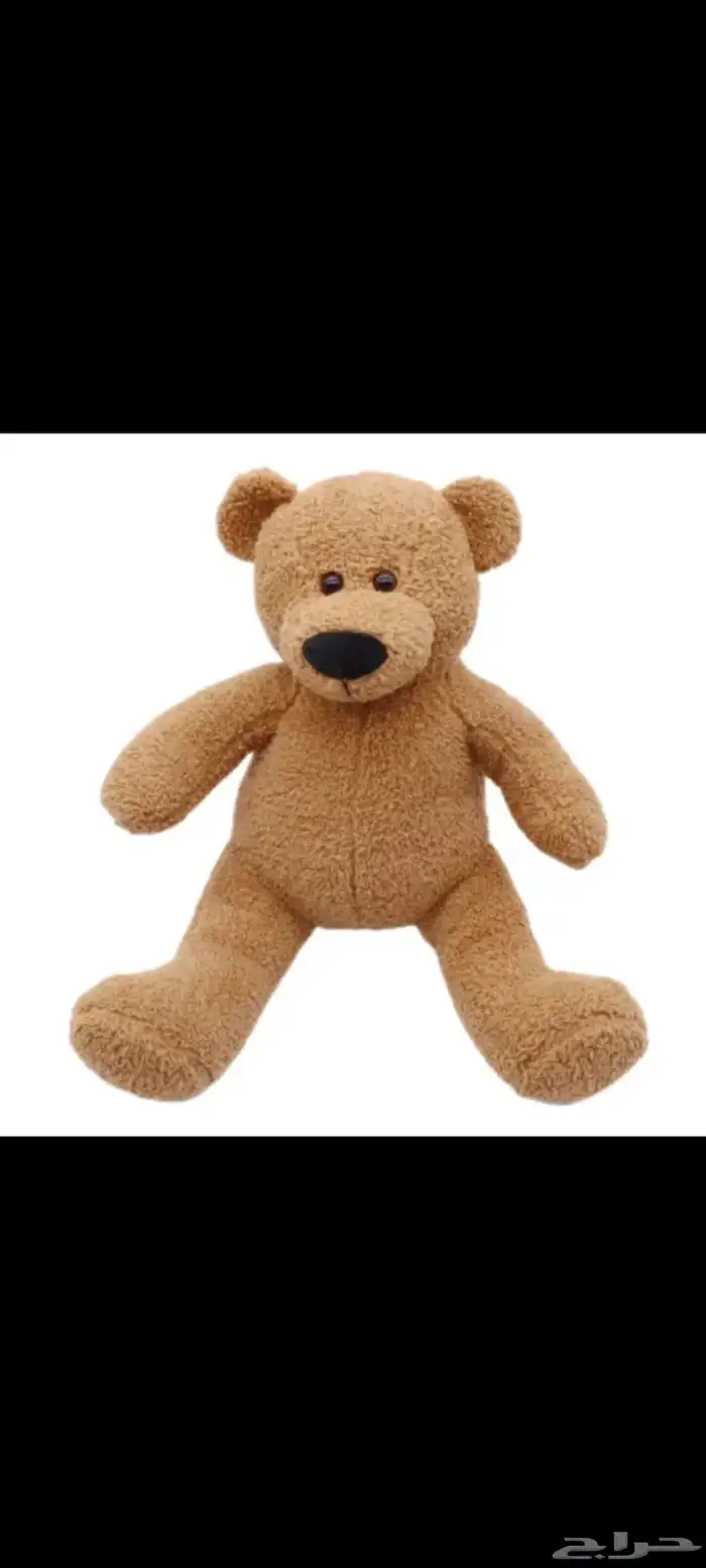 للبيع جملة دببه متوفر 500 حبه خامه نظيفه وحجم وسط 1