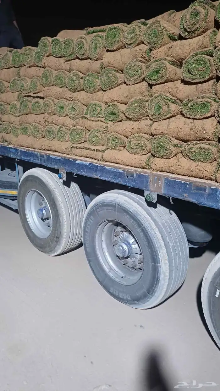 مسطحات خضراء 0