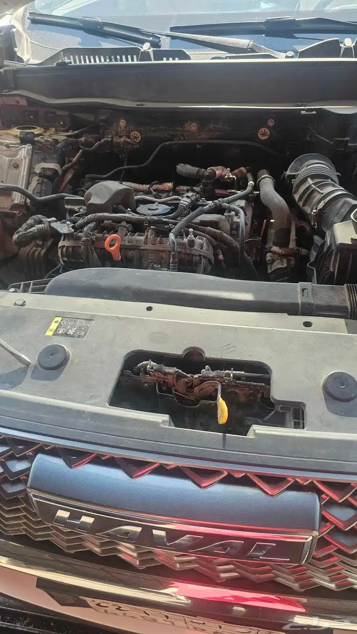 مكاين هافال 1