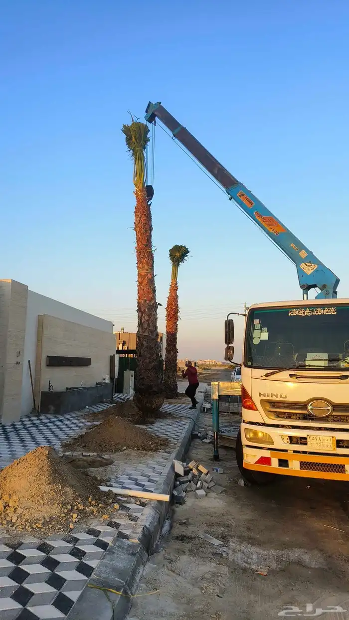 اجار ون  دينا 2