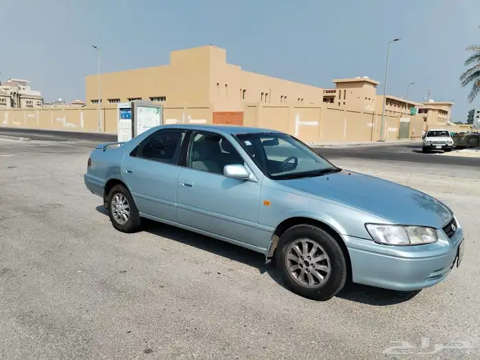 القطيف العواميه 7