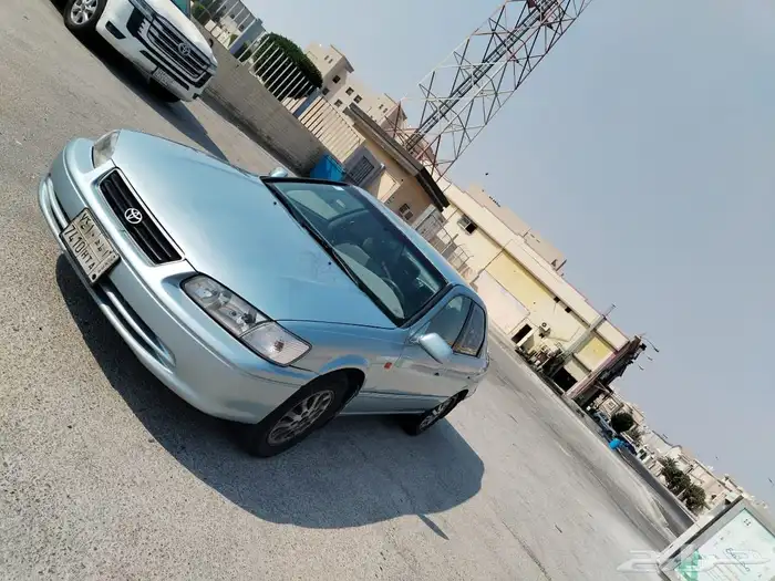 القطيف العواميه 5