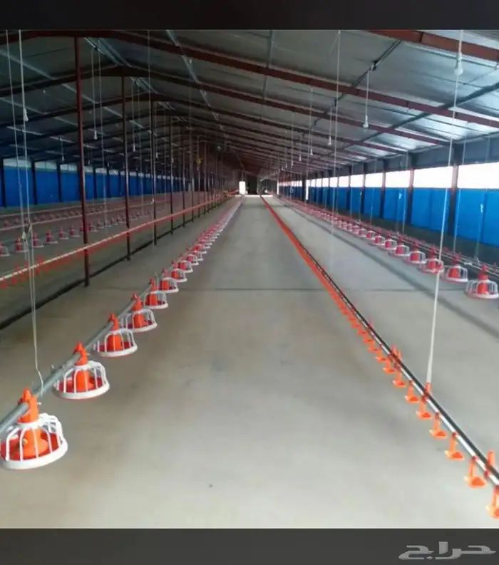 توريد وتركيب شبوك حضائر توريدوتركيب مزارع دجاج 5