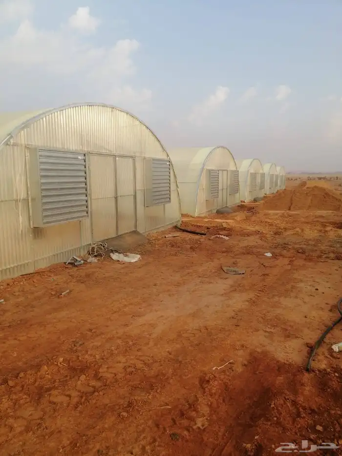 بيع وتركيب بيوت محمية وصالات زراعية وجميع مستلزماتها 4