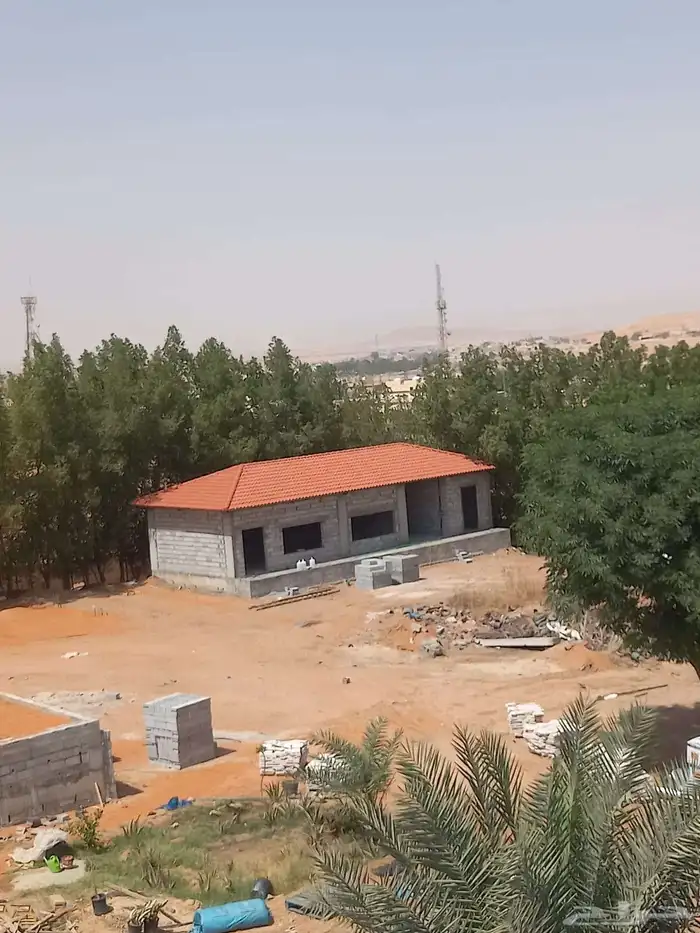 سندوش بنل مضلات سوتر قرميد ابو متعب 7