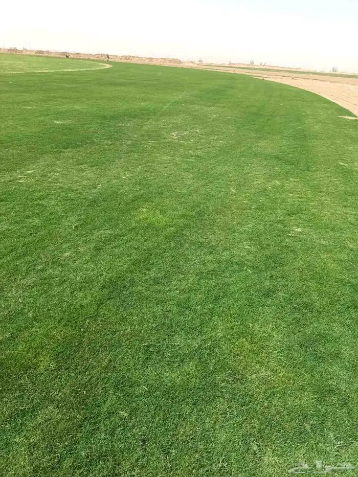 مزارع الخرج لجميع انواع الثيل وجميع انواع اشجاره 1