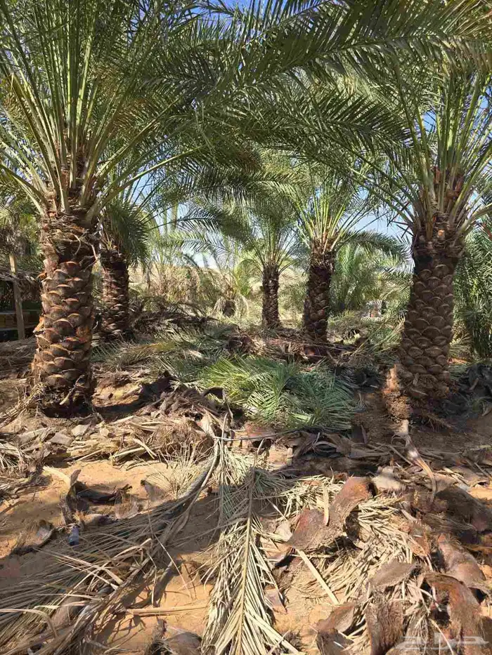 سلا عليكم ورحمه الله وبركاته نقوم بتوريد وتركيب جميع انواع 8