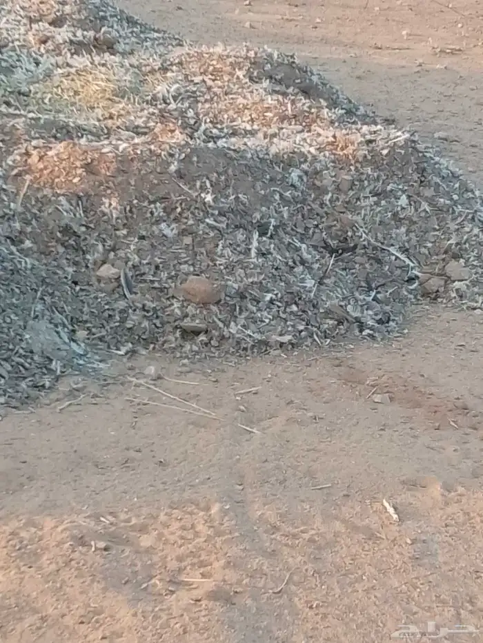 سماد دواجن بلدي الموقع الجله 0