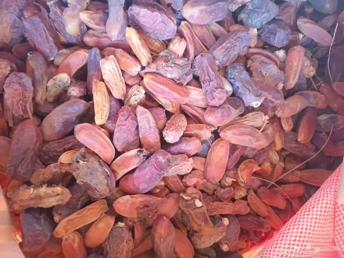 تمر علف للحلال 0