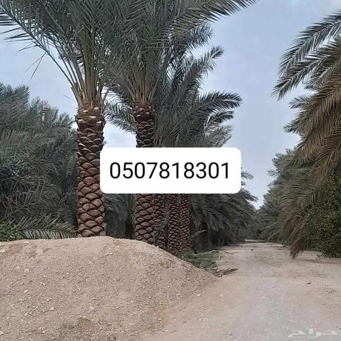 توكنا ع الله 4