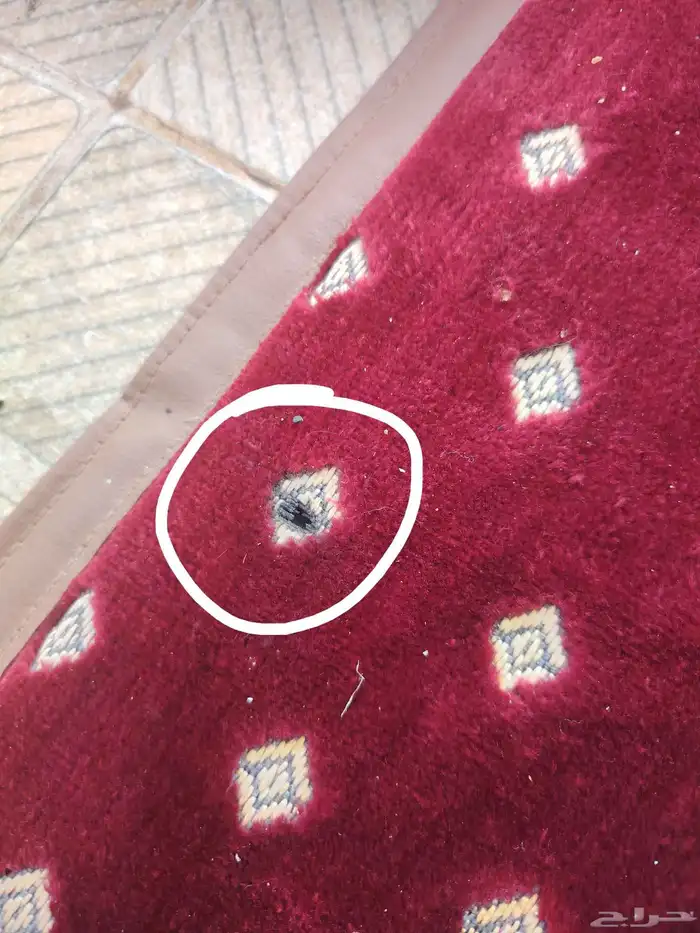 مساند ظهر للبر عدد 4 و3 مراكي 2