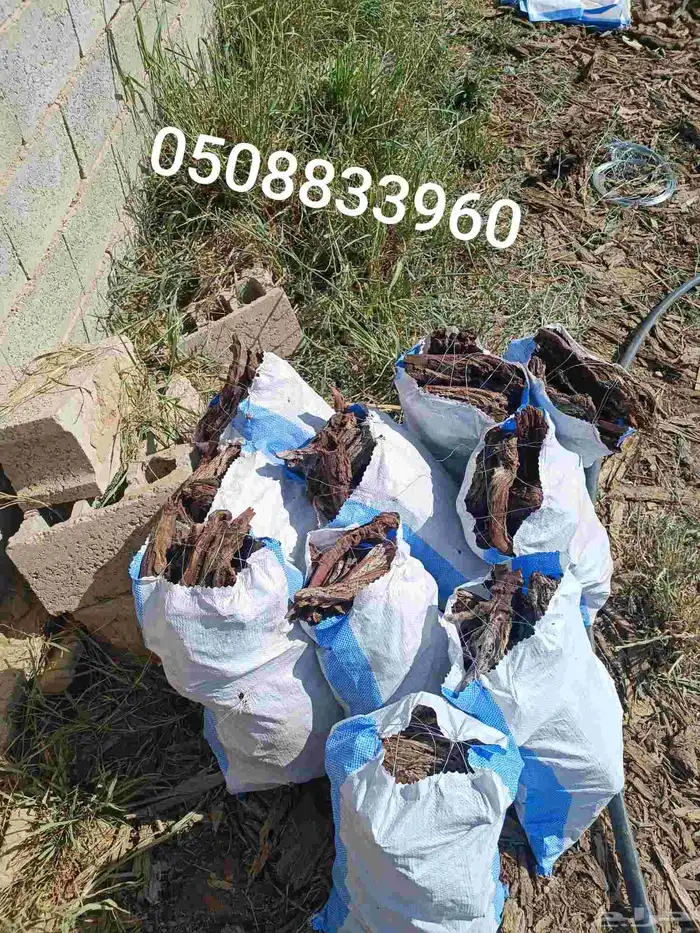 كامري حجم 15كيلو 0