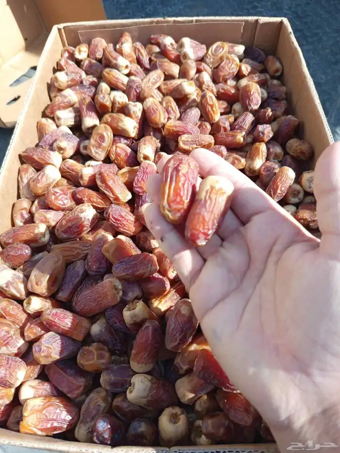 السلام عليكم ورحمه الله وبركاته 1