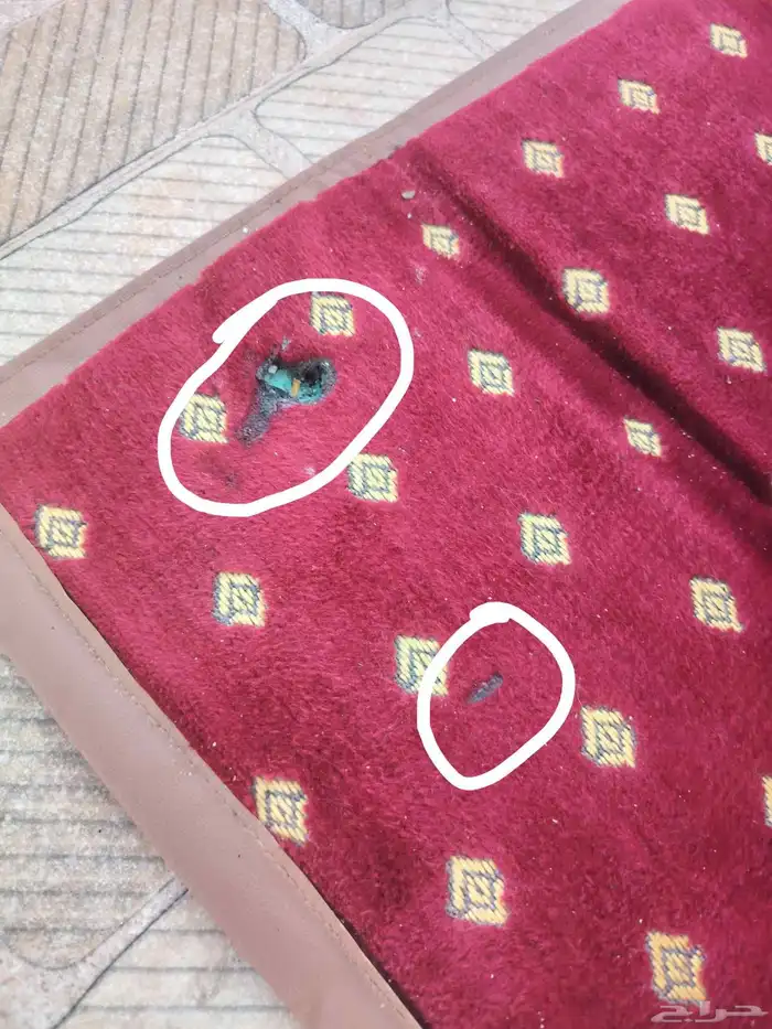 مساند ظهر للبر عدد 4 و3 مراكي 4