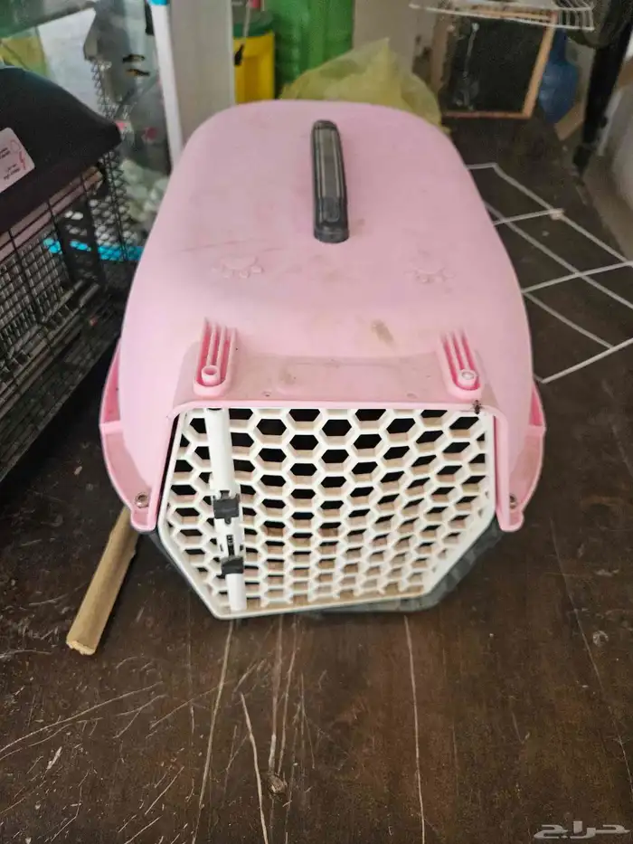 كوخ بيت قطط وحيوانات اليفه و بسكليت 6