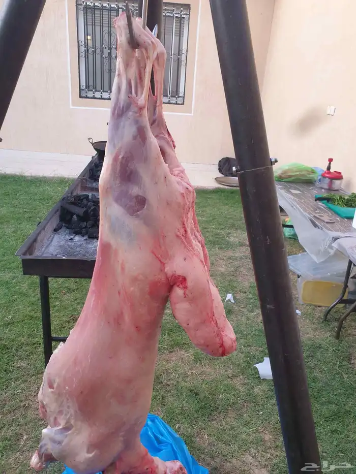 معلم مشاوي شوي مشويات تجهيز ذبايح شوي خارجي دوار سعادة 5