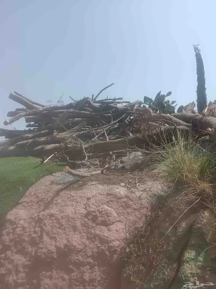 حطب مستورد حملة شاص 0