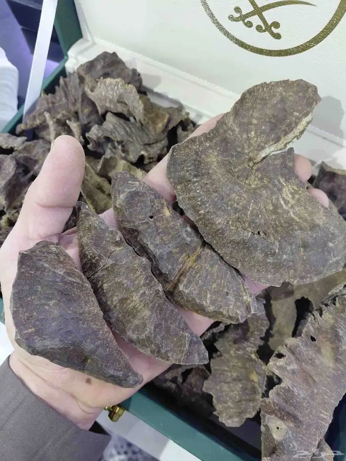 عود هندي طبيعي تربل عالي فآخر 0