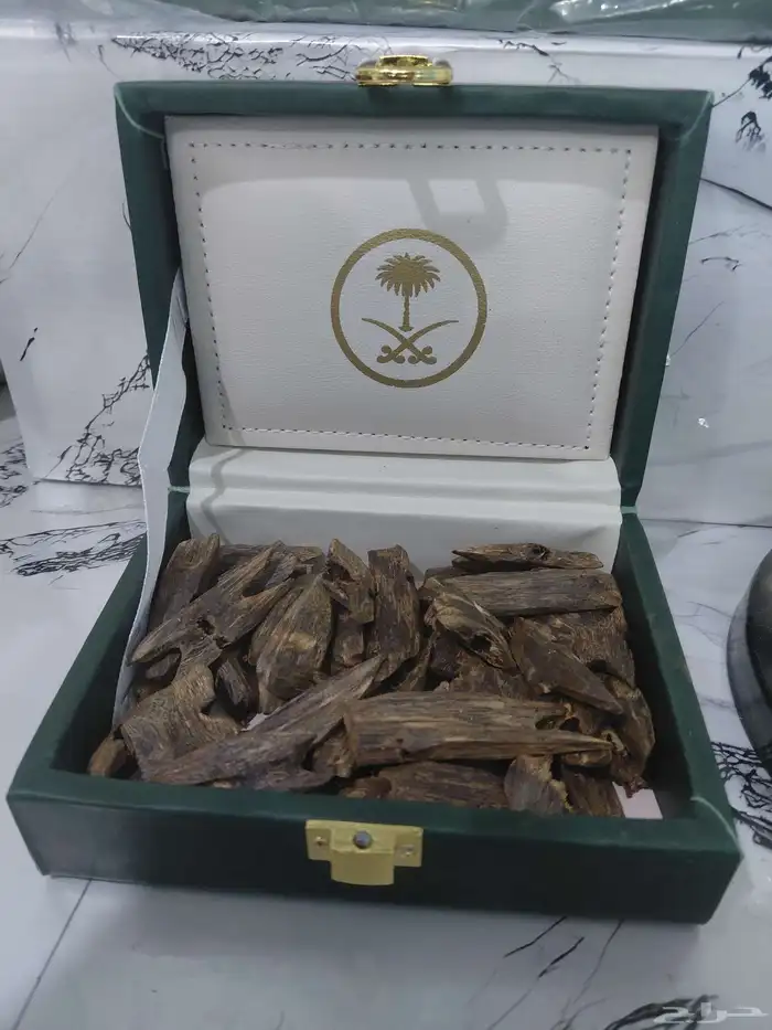 كينام صيني فآخر 0