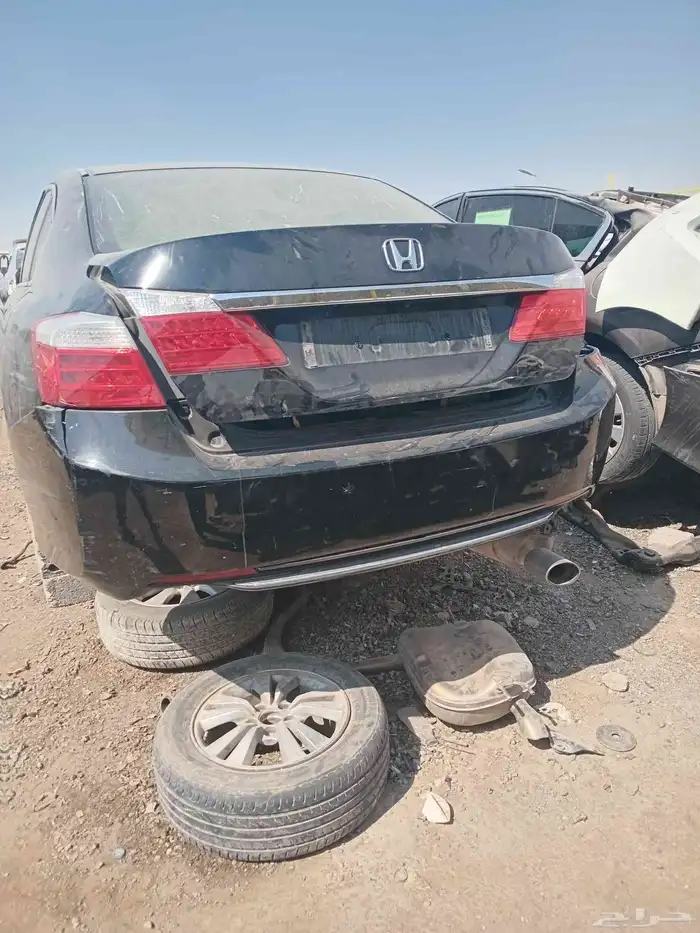 تشليح الحاير والسلي 2