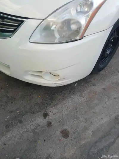 التيما 2010 index