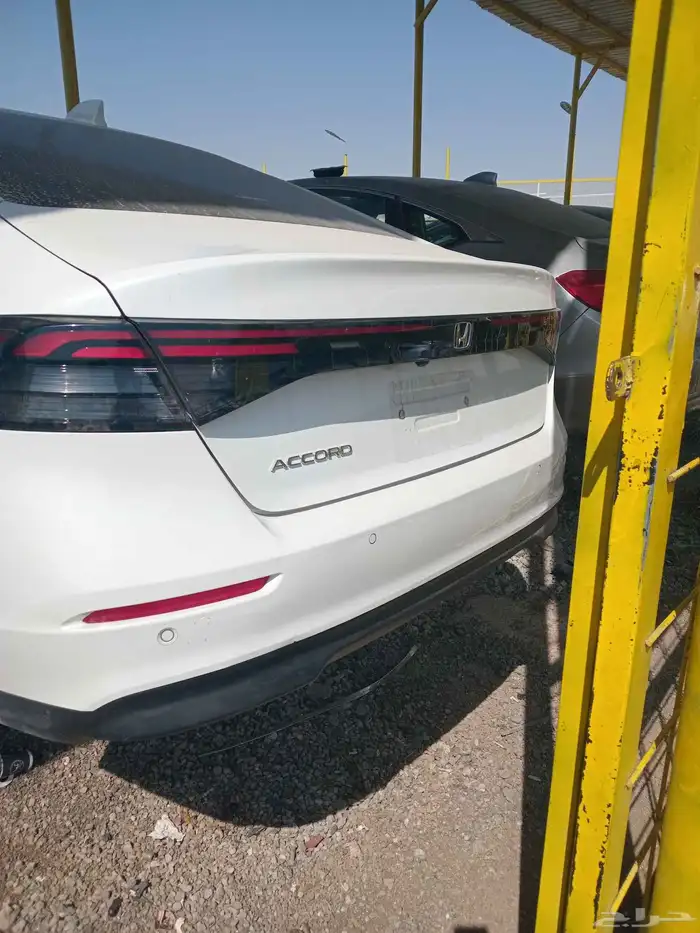 تشليح الحاير والسلي 0