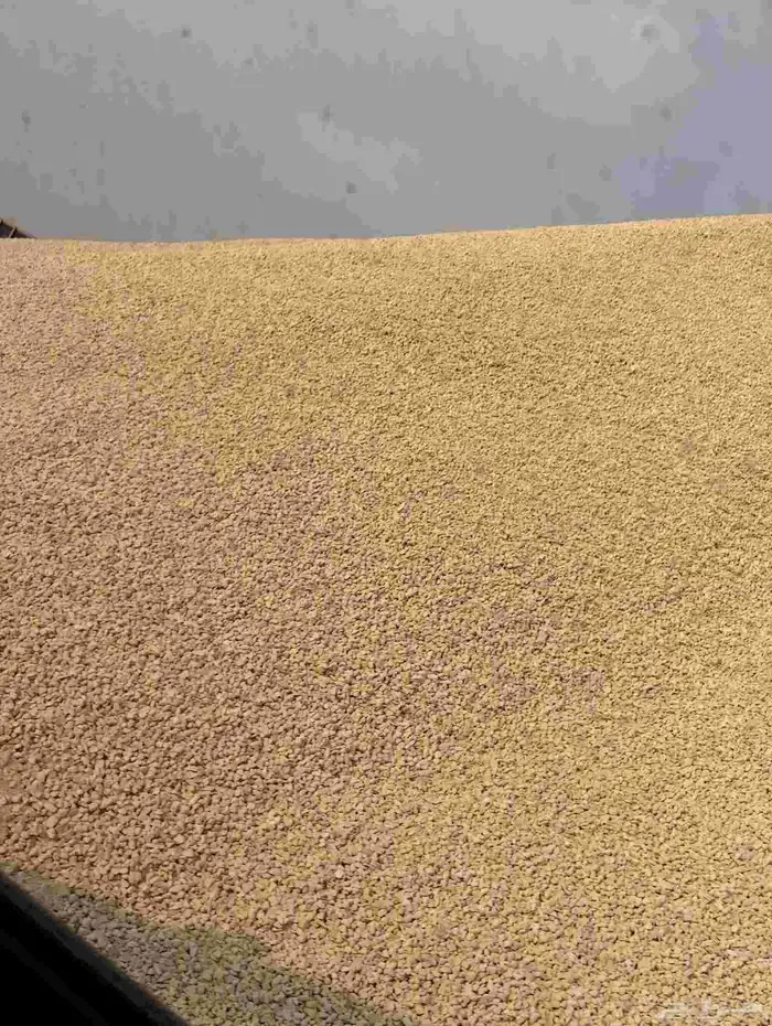 دفان صبيز كساره 1