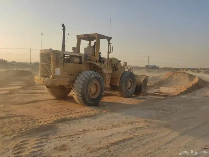 شيول للبيع 1