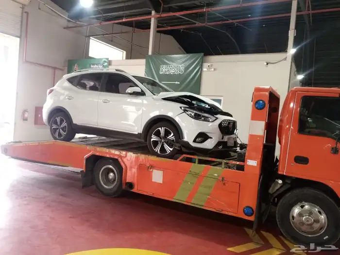 سطحه مدينة منوره 2