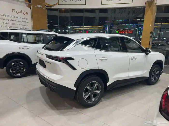 جيتور داشينج ستاندر 2026 15