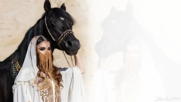 استديو لتنفيذ الزفات والشيلات 6