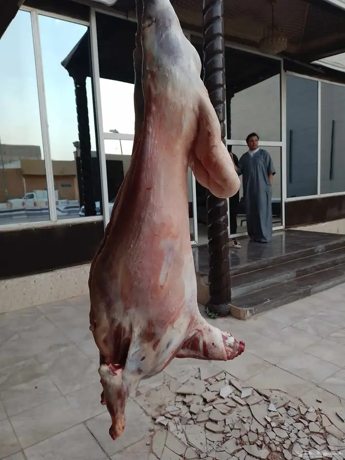 معلم مشويات خارجية شامية شامية 0