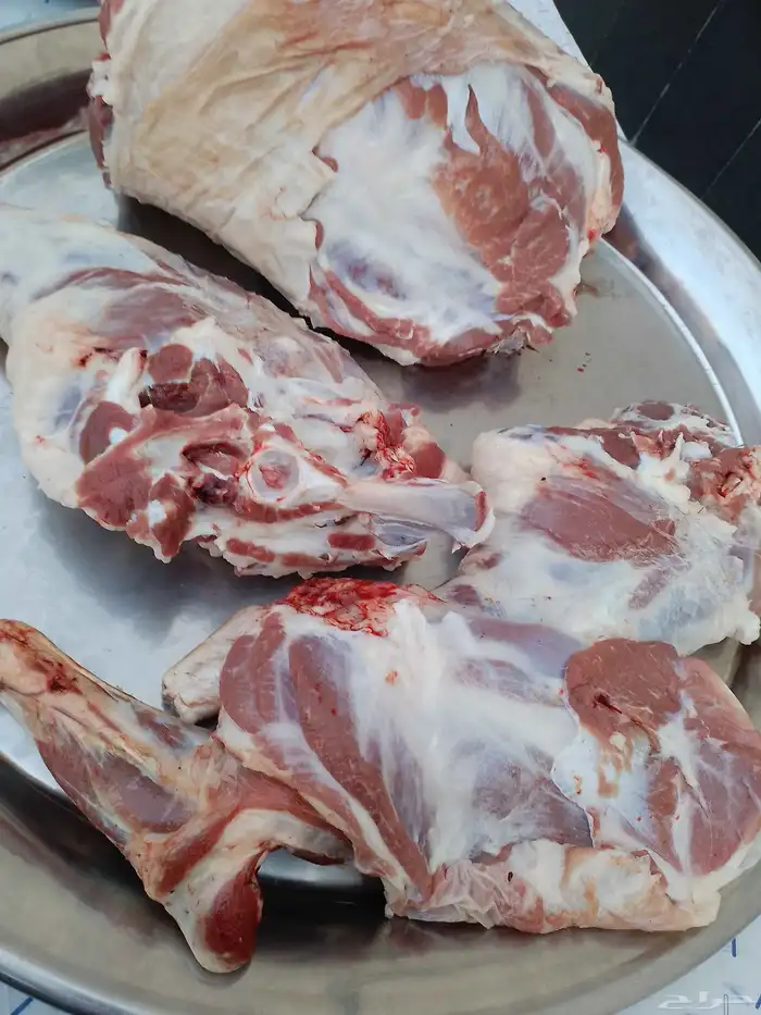 معلم مشويات خارجية شامية شامية 8