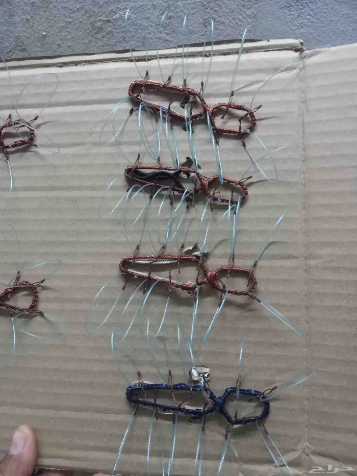 شبك لصيد الصقور 1