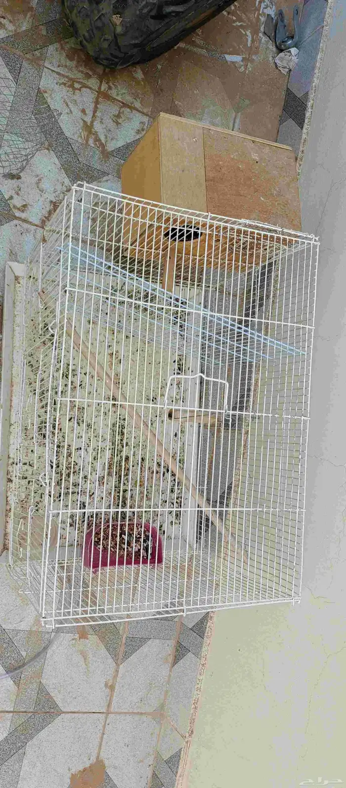 شبك طيور زينه واحد جديد و ثاني كبير مستعمل وعشين جدد 0