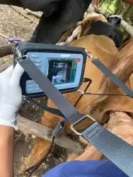 جهاز سونار فحص الضريع فحص الحمل 1