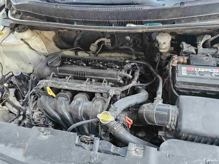 اكسنت 2014.مقاسين زيت 6