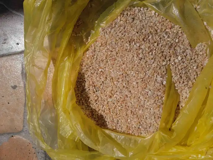 مسابح شاطئيه رمليه 2