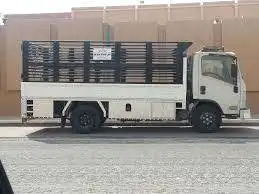 يوجد عمال تحميل وتنزيل ويوجد دينا سفرية 0