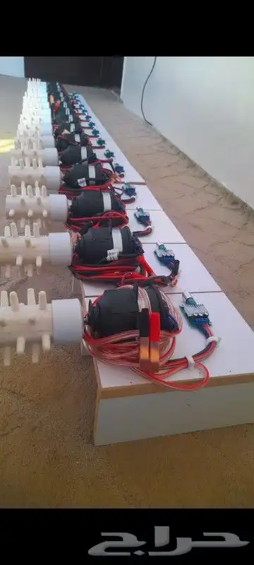 نتافه توفرت جديد شرط لجميع الطيور جرجس سمان دخل صفاري زغاليل 1