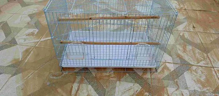 شبك طيور زينه واحد جديد و ثاني كبير مستعمل وعشين جدد 1